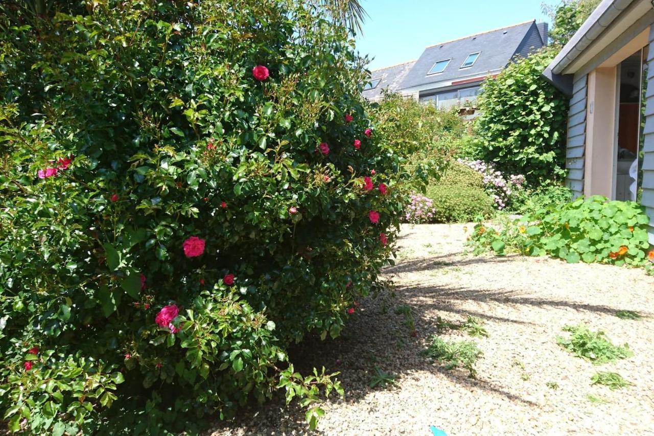 Le Petit Cottage Entre Village Et Mer Trélévern Exterior foto